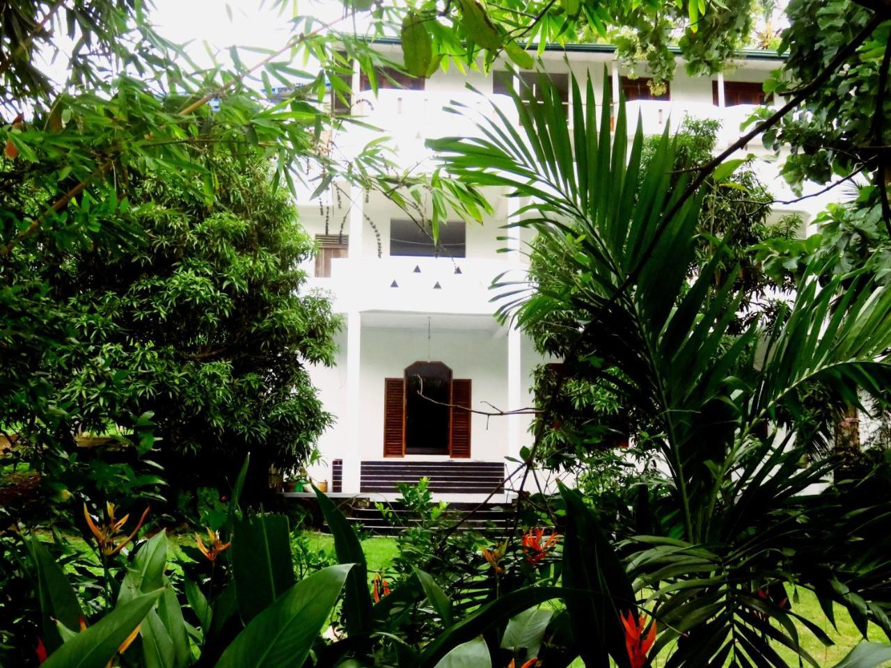 Sea Avenue - Eco Garden Hotel Tangalle Buitenkant foto