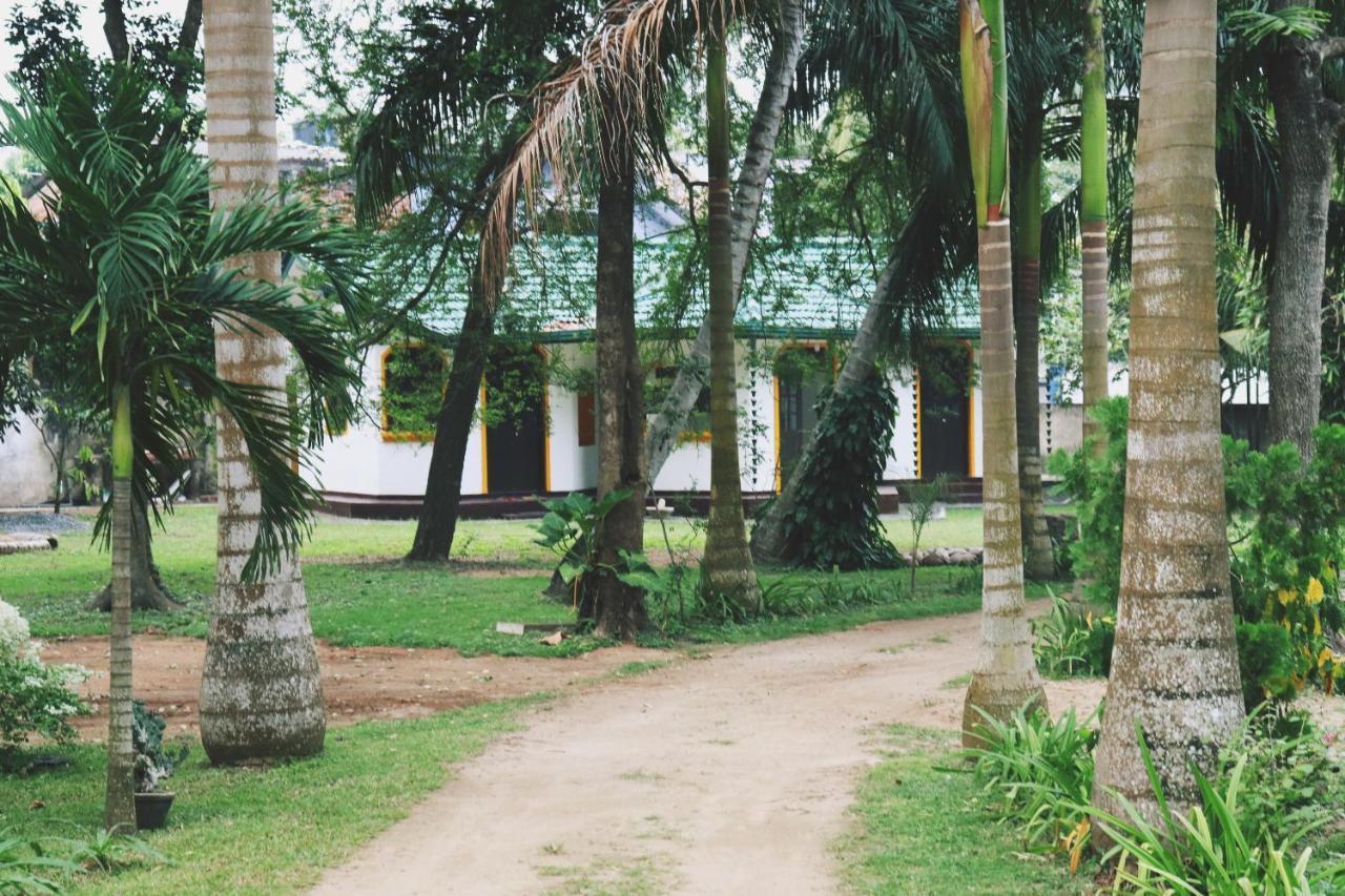 Sea Avenue - Eco Garden Hotel Tangalle Buitenkant foto