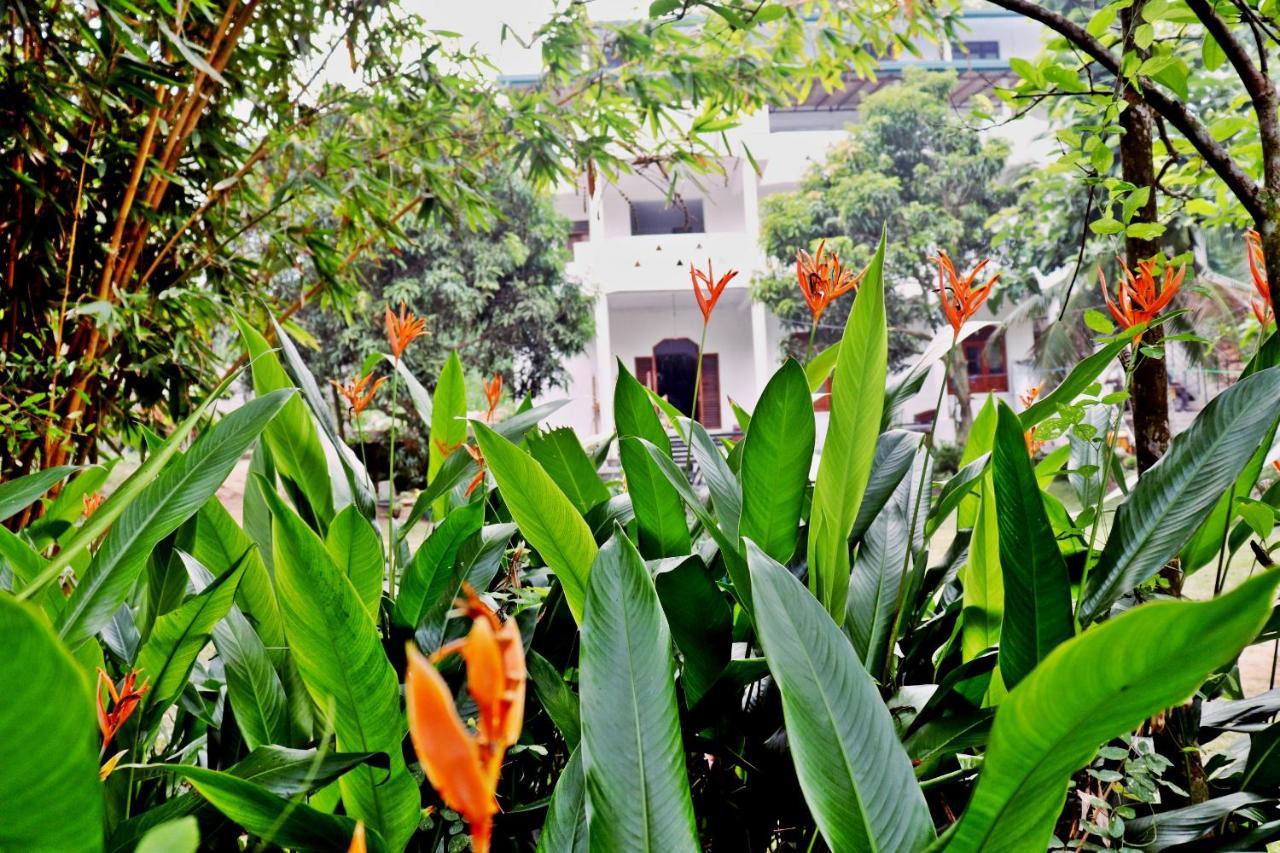 Sea Avenue - Eco Garden Hotel Tangalle Buitenkant foto