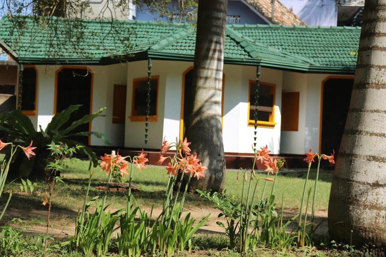 Sea Avenue - Eco Garden Hotel Tangalle Buitenkant foto